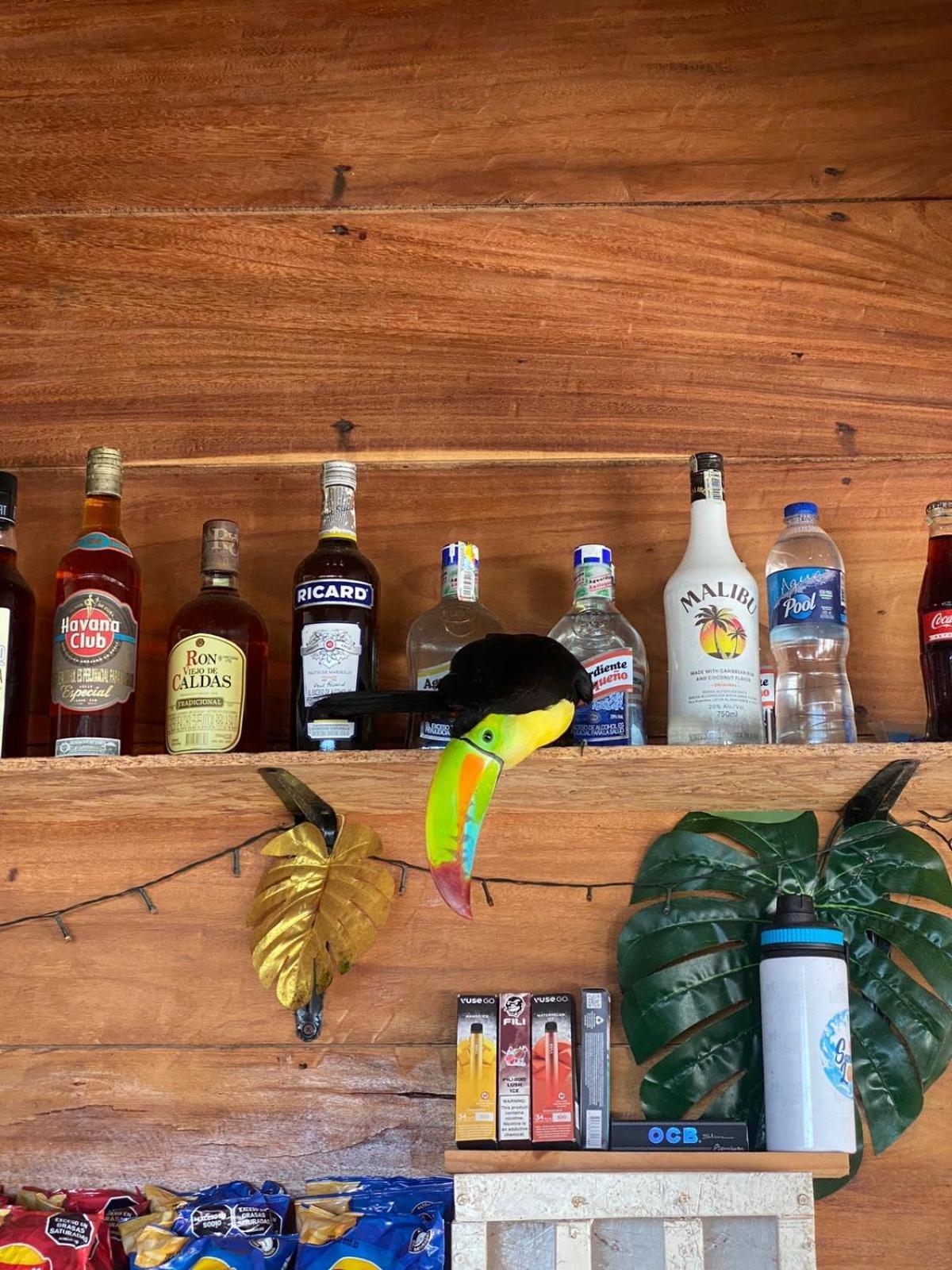 Tintipan Island Santa Lova Eco-Hostel Isla Tintipan מראה חיצוני תמונה