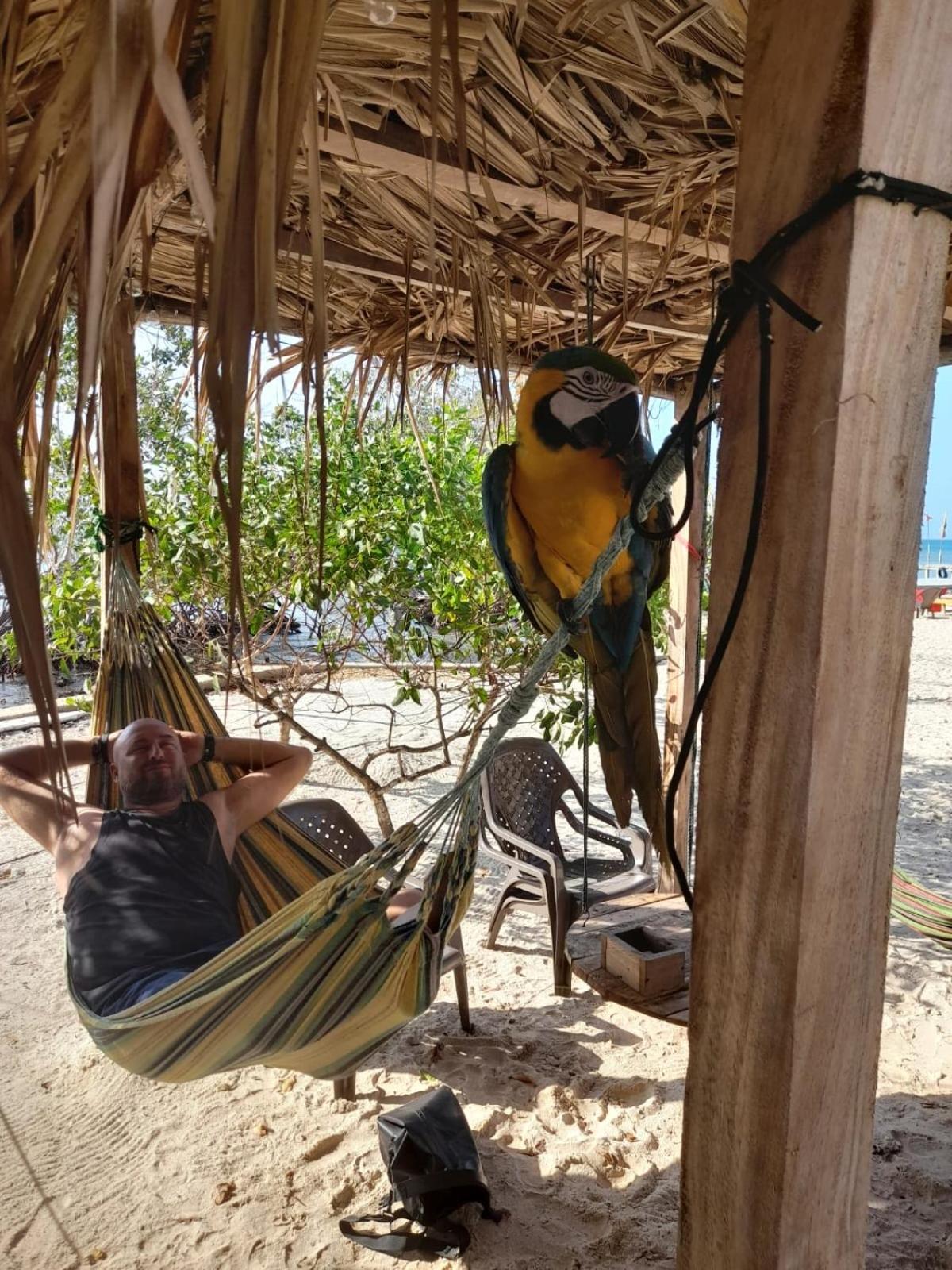 Tintipan Island Santa Lova Eco-Hostel Isla Tintipan מראה חיצוני תמונה